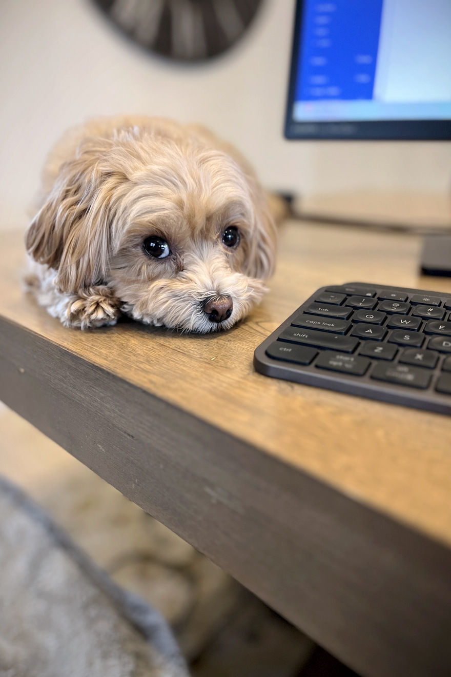 Cheri Mavrikkou of WWCD Consulting, PointClickCare Software Management Consultant in London region.